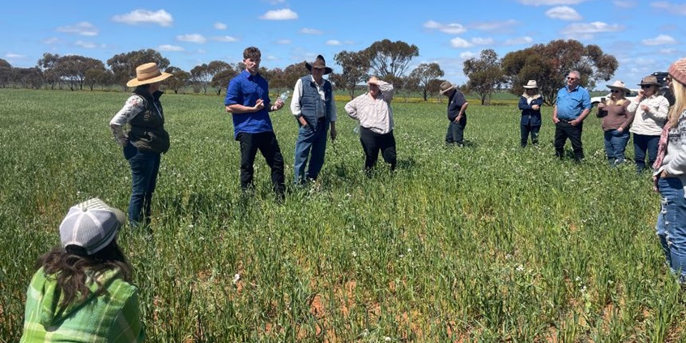 Farmers standing out in the field.