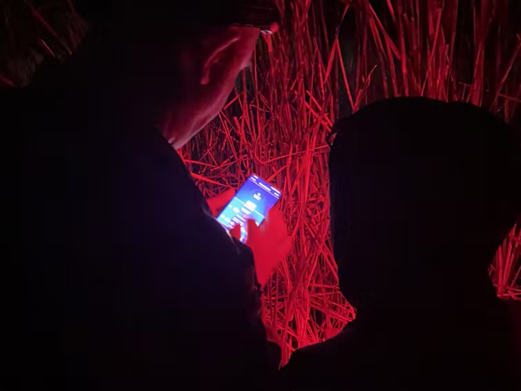Volunteers take part in a bat-finding mission after dark. Credit: Kelly Sheldrick