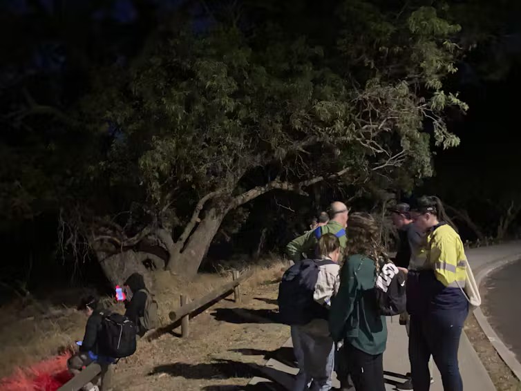 Citizen scientists helping collect crucial data about nocturnal species. Credit: Kelly Sheldrick