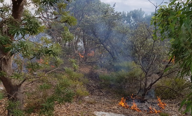 A controlled burn in restored Banskia Woodlands.