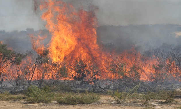 Fire in shrublands in WA