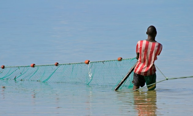 Fisherman pulling his net in Mozambique