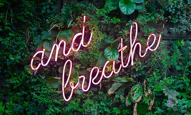 Pink neon sign saying 'and breath' on a plant wall