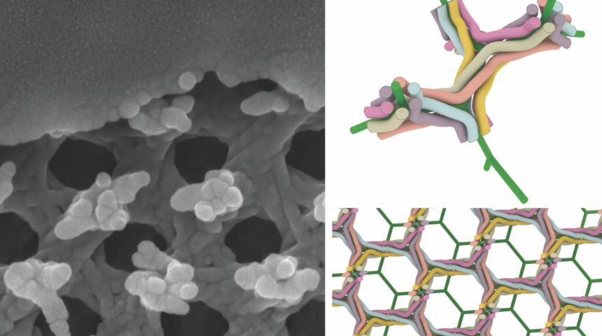 Gyroid fibres and model diagrams