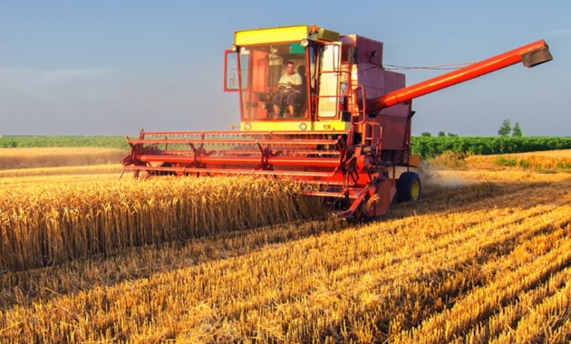 Combine harvester in a wheat field