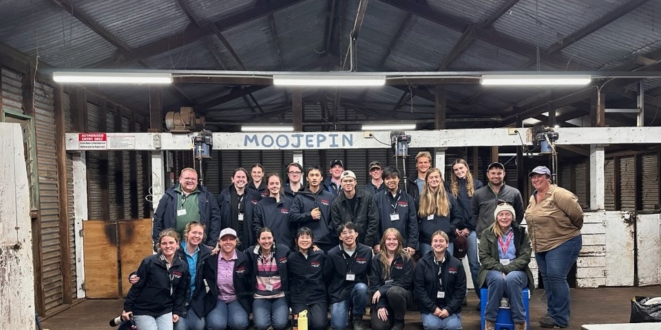 Animal Science students visit Moojepin Merinos in Katanning in 2026 as part of their Livestock Industry Tour