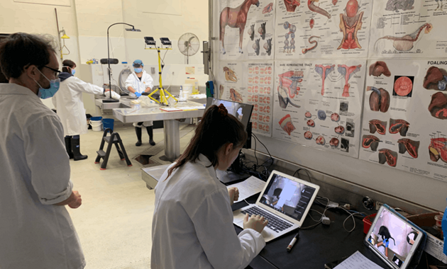 vet students