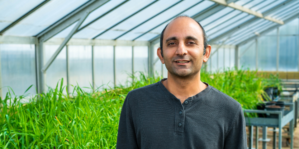 Murdoch University Professor Jatin Kala