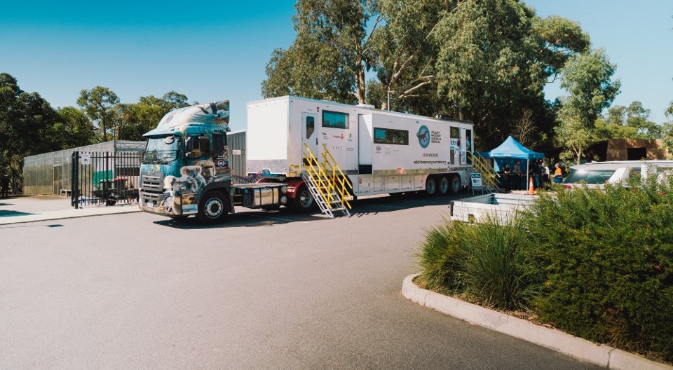 Matilda A truck converted into a mobile vet hospital.
