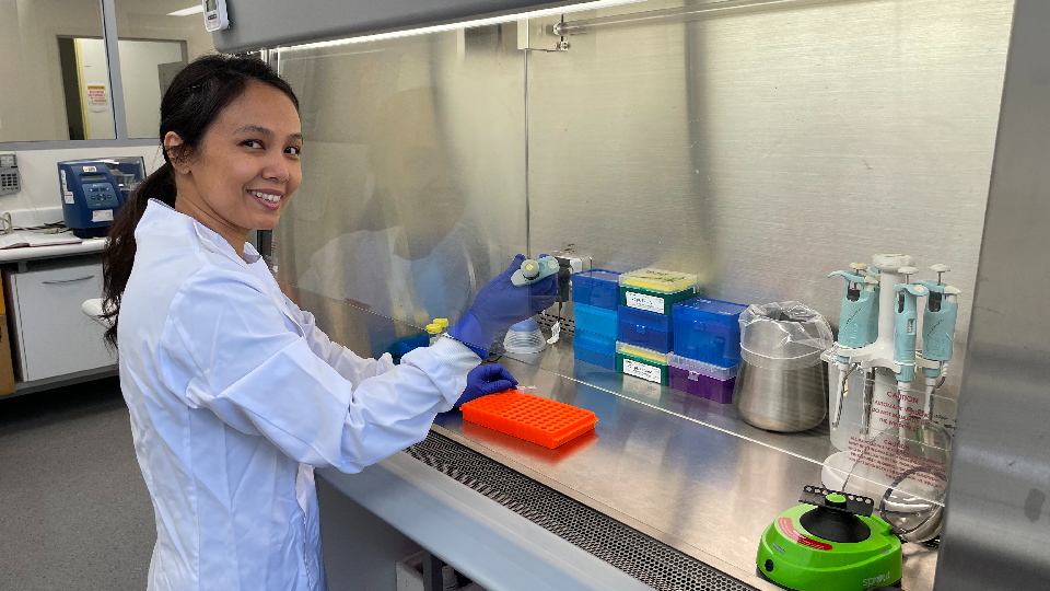 May Aung-Htut preparing samples in Personalised Medicine Centre laboratory