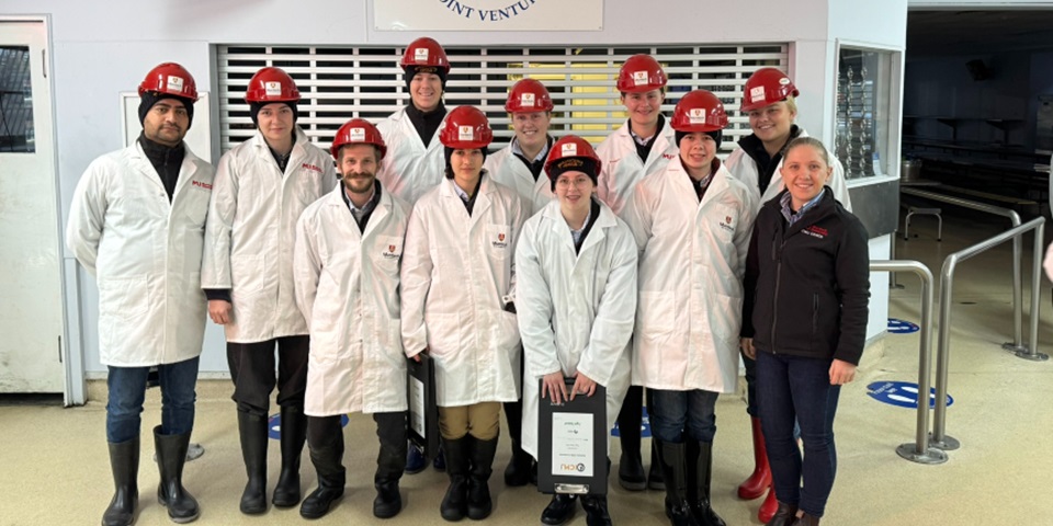 Meat judging students