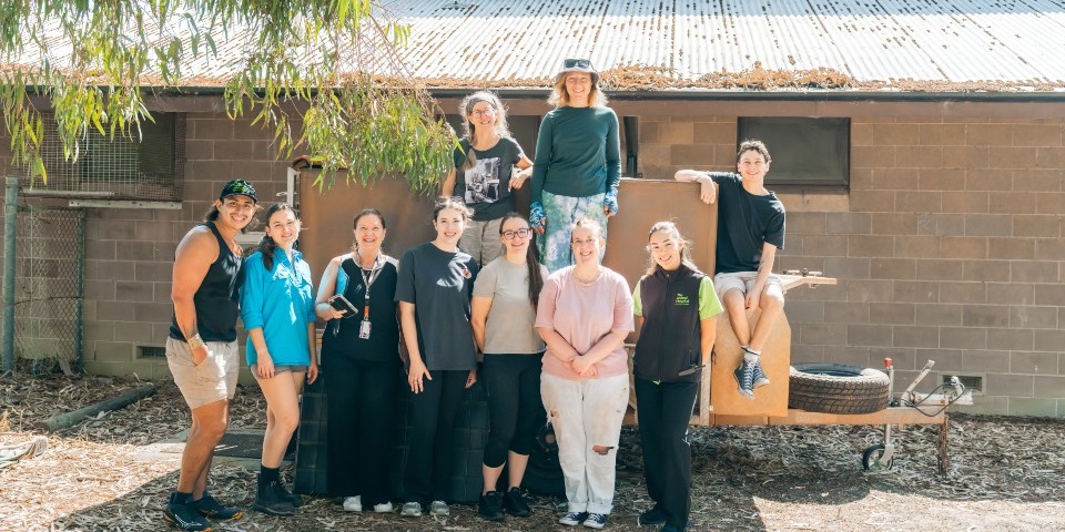 Murdoch on the ROAD team from The Animal Hospital at Murdoch University