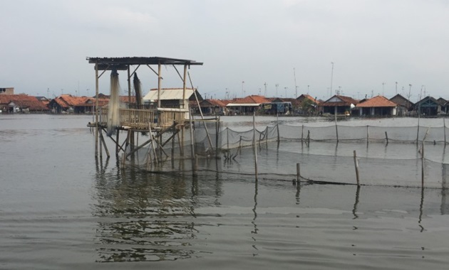 Rice paddies and homes are under water in Pekalongan City