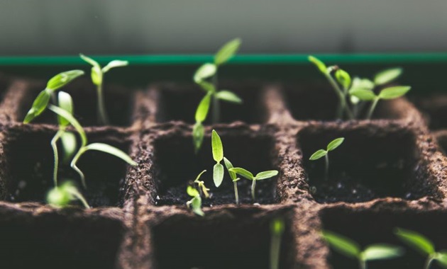 Picture by Markus Spiske via Unsplash.