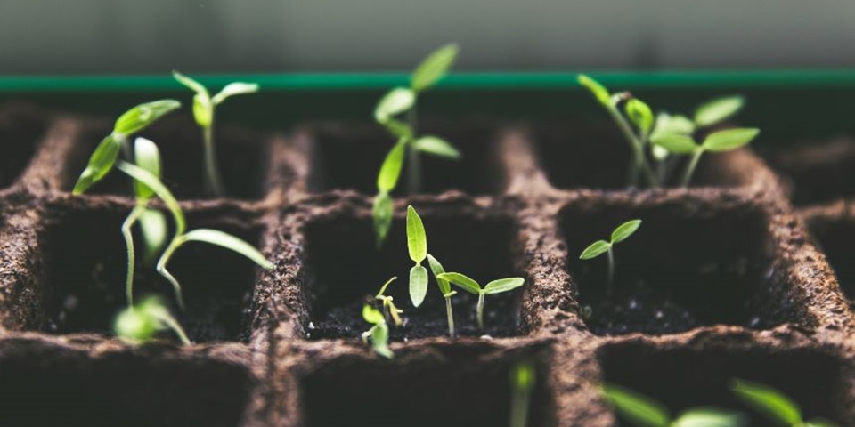 Picture by Markus Spiske via Unsplash.