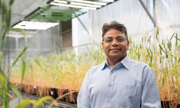 Professor Rajeev Varshney FRS FAA