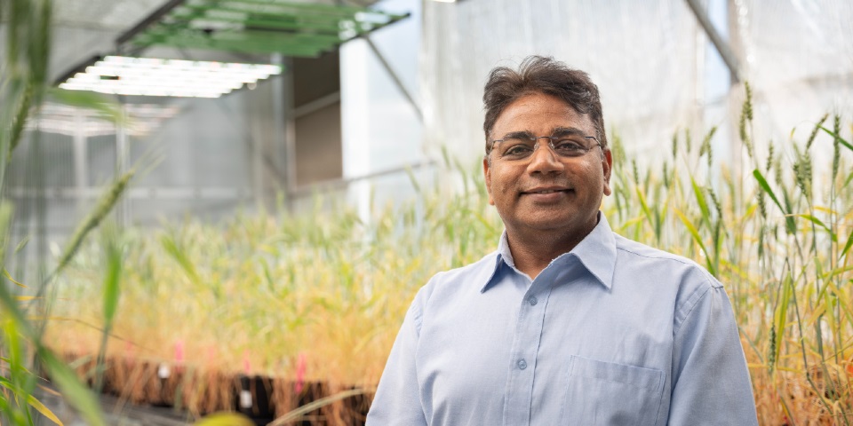 Professor Rajeev Varshney FRS FAA