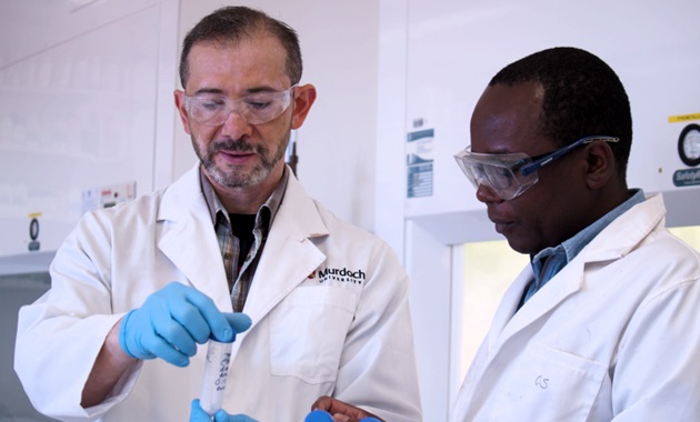 Two male scientists inspecting metal samples in a laboratory