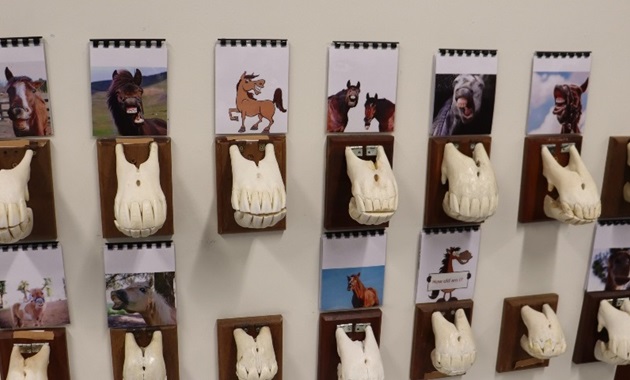 Wall of skeletal fragments