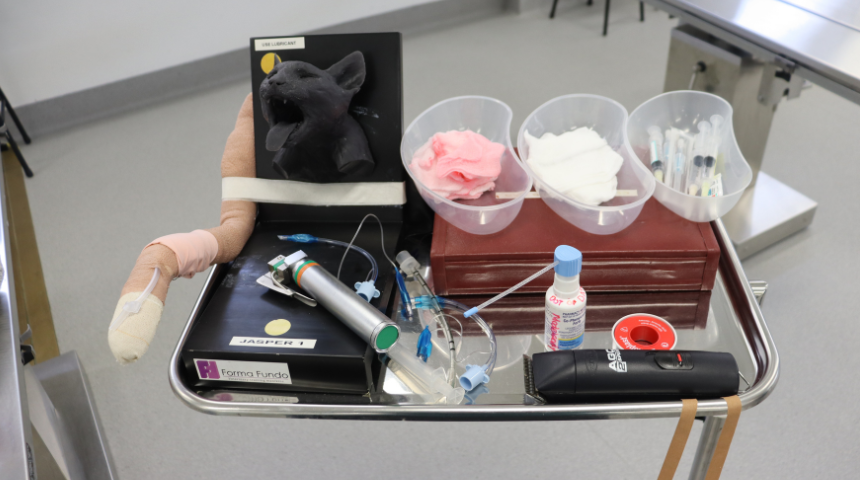 Vet intubation kit