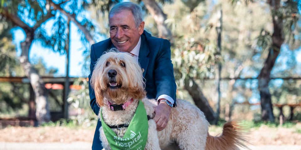 Ted Powell and Megsie Ted Powell cuddling vet school dog Megsie