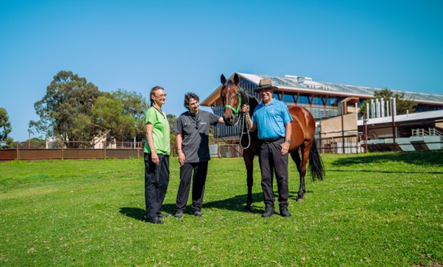 Ted Powell annual report cover photo