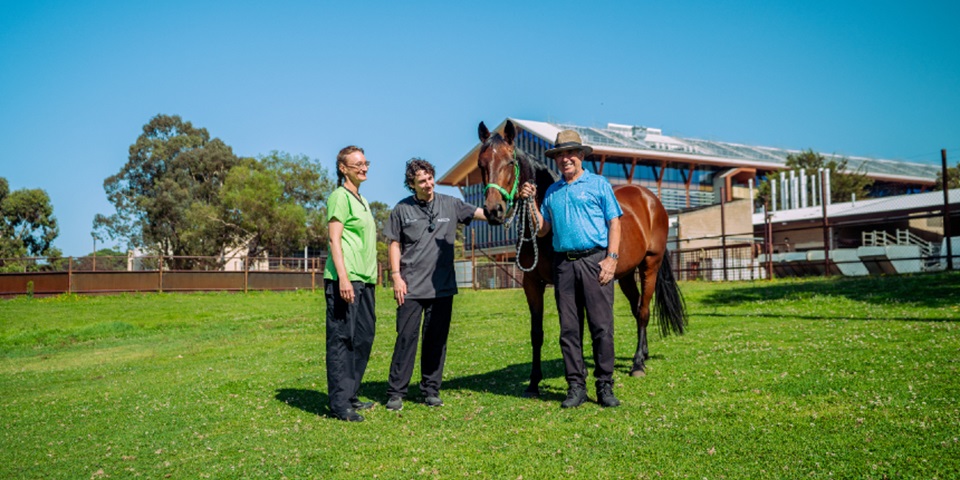 Ted Powell annual report cover photo