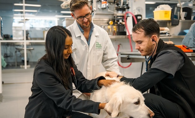 The Animal Hospital at Murdoch University