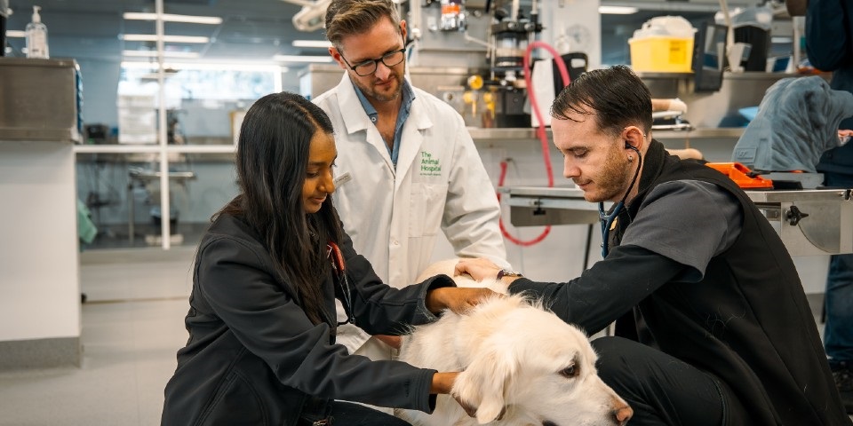 The Animal Hospital at Murdoch University