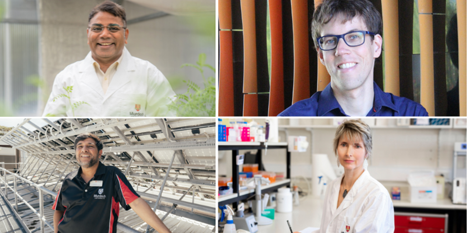 Four Murdoch University academics