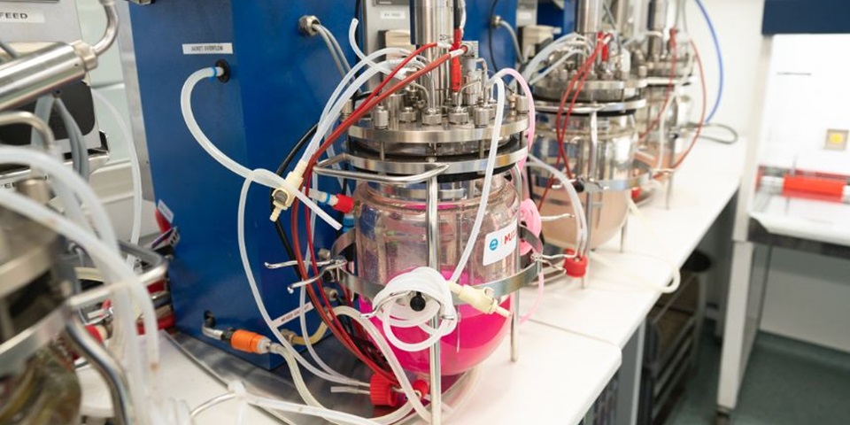 Vats of liquid in the Bioplastics Innovation Hub.