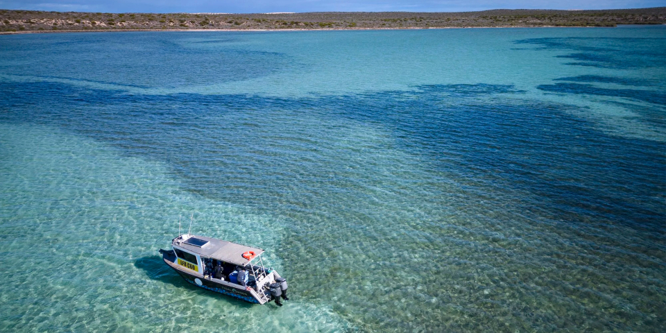 Boat from above in bay on ocean