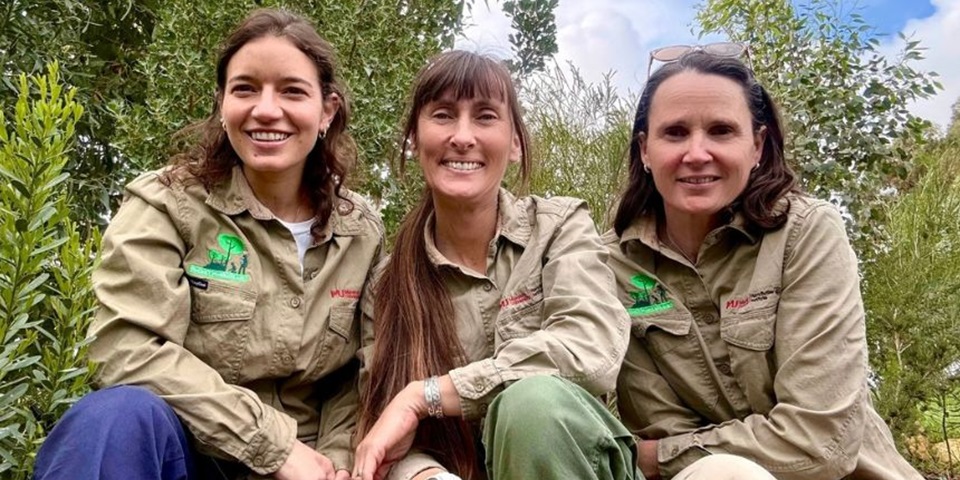 Three scientists crouching among a field of trees.