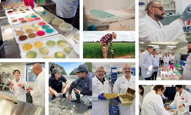 A collage of images of scientists in the lab, out on the field, and close ups of bacteria and enzymes in petri dishes.