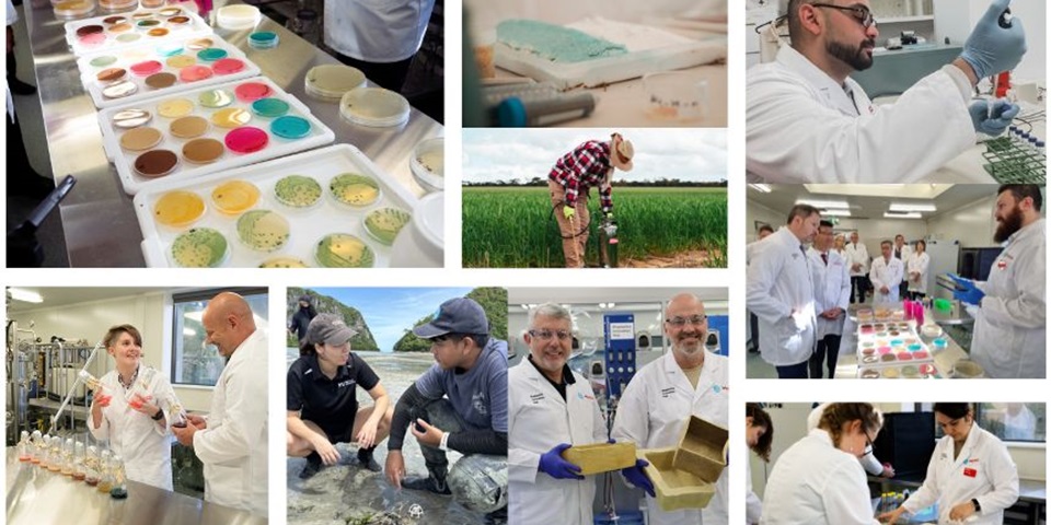A collage of images of scientists in the lab, out on the field, and close ups of bacteria and enzymes in petri dishes.