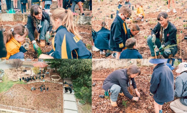 Grey Coupland planting a pocket forest with primary school students.