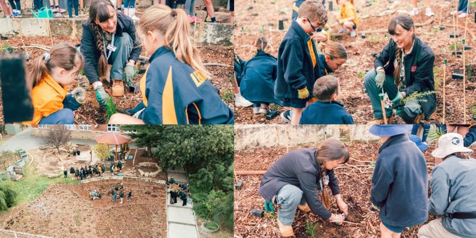 Grey Coupland planting a pocket forest with primary school students.