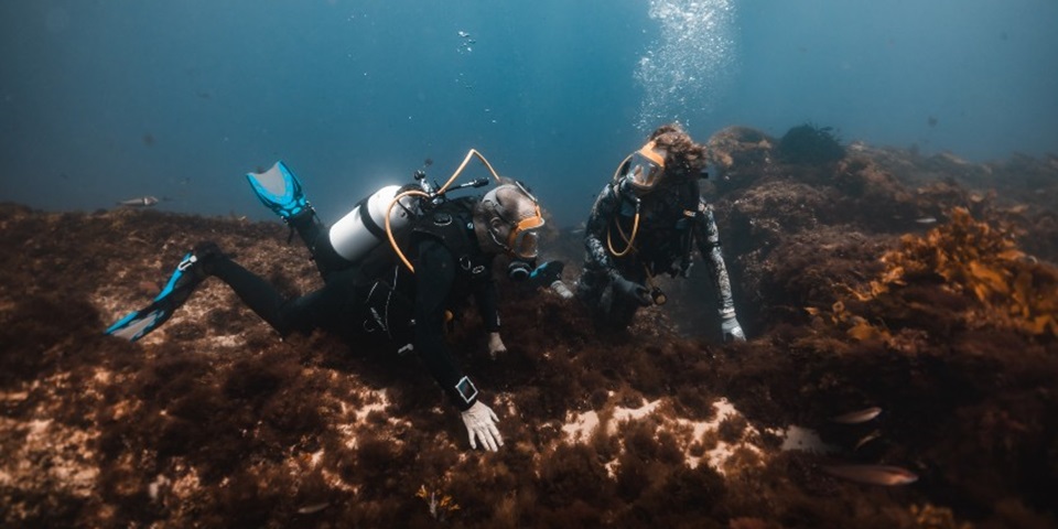 Underwater podcast- credit Commotion Media /WAMSI