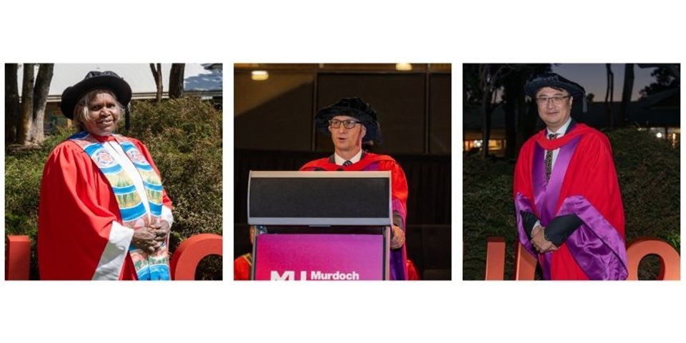 Honorary doctorates
