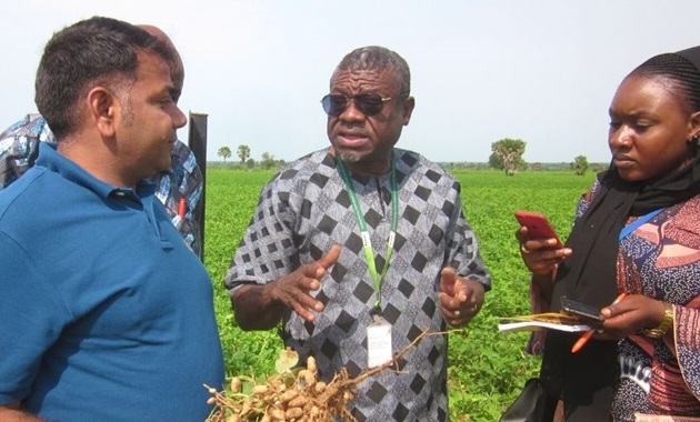 Professor Rajeev Varshney, a male of Indian origin, speaks with researchers, an African woman and two African men, in a field growing grain.