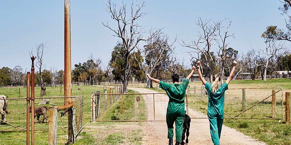 Vet_Job_Feature Two Murdoch Veterinary students walk down a path at a farm.