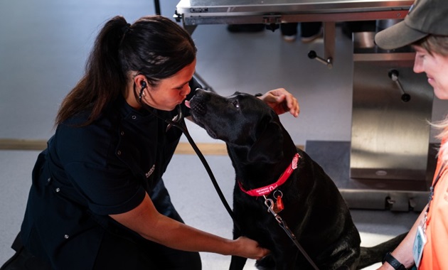 Waardong student with Guide Dogs WA