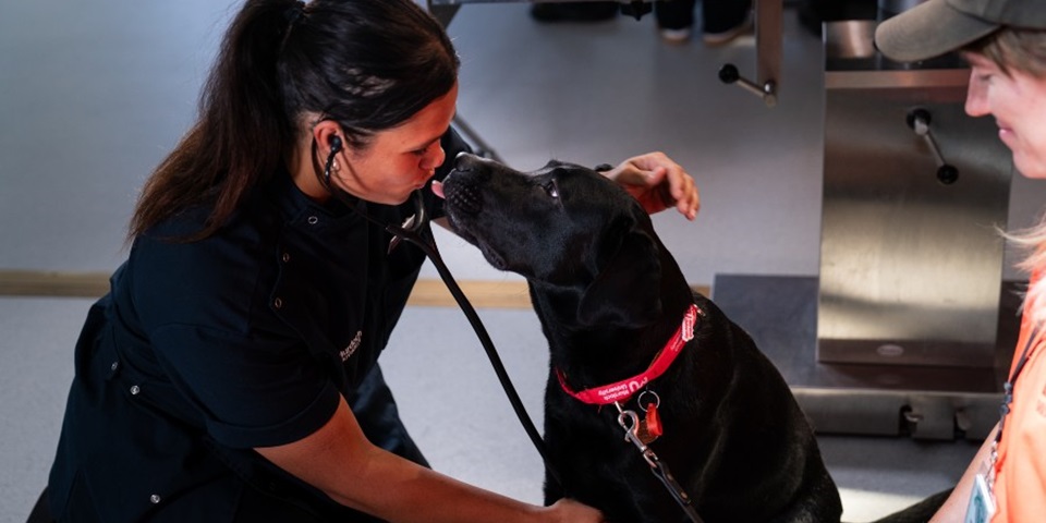 Waardong student with Guide Dogs WA