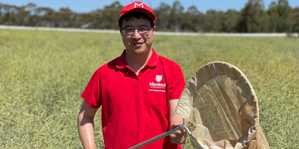 Wei Xu standing in the field with an insect catcher.