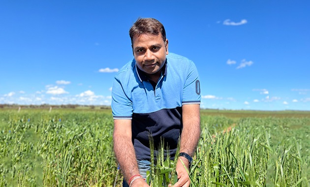 Prof Rajeev Varsney in wheat field