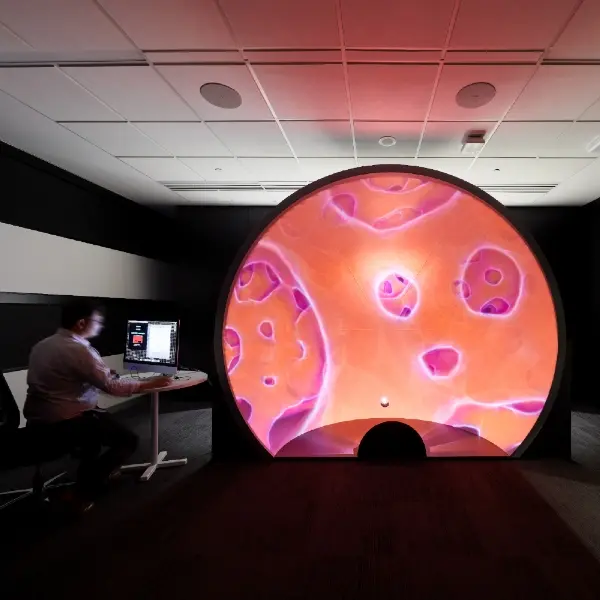 data-science-capabilities