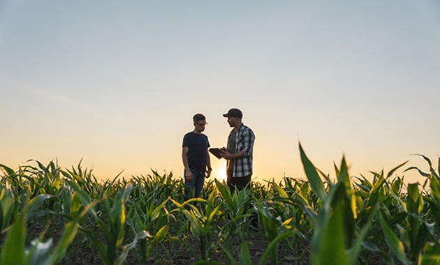 global impact 2 farmers standing in wheat field at sunset