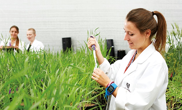 Researchers in biotech lab