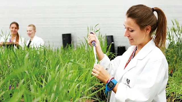 Researchers in biotech lab