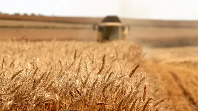 Complementarities between production enterprises